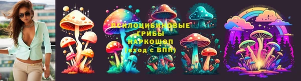 молекула духа Алзамай