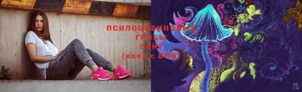 spice Алексин